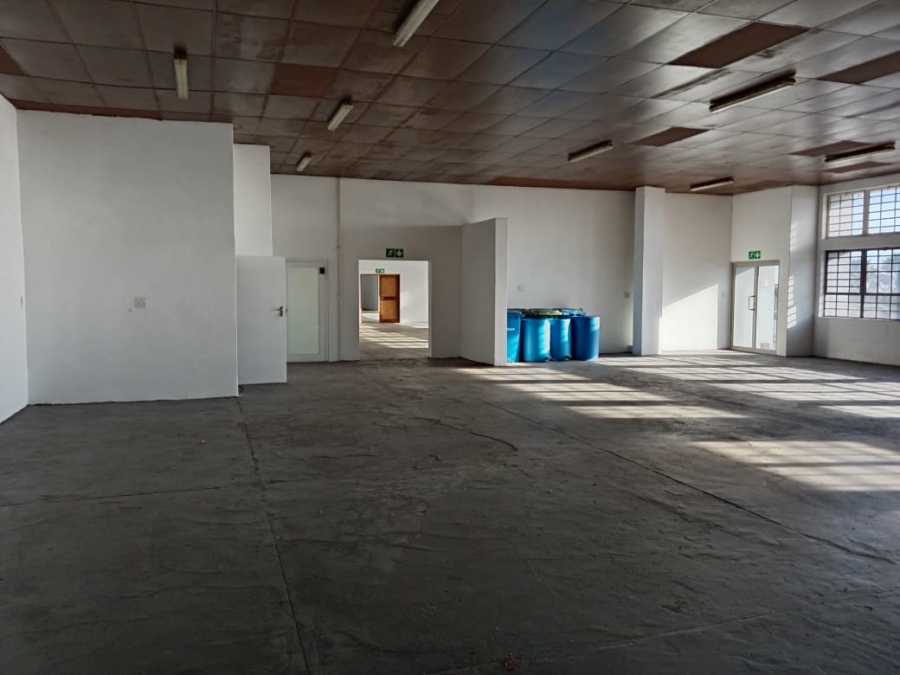 To Let commercial Property for Rent in University Estate Western Cape